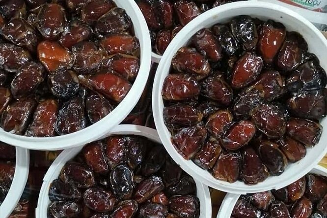 خرید خرمای کلوته