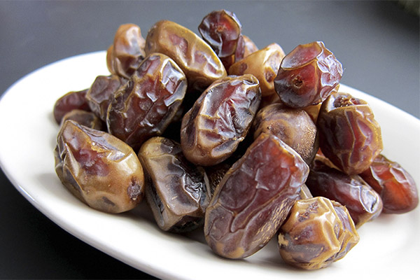 انواع خرمای استعمران خوزستان
