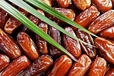 چه زمانی خرما را رطب و چه زمانی خشک مصرف کنیم؟