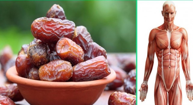 خرما منبع غنی از انرژی